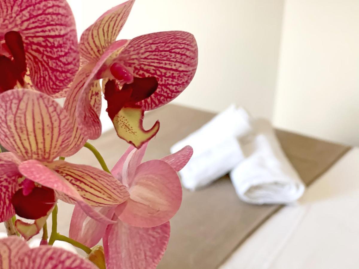 B & B Vilenia San Nicola Arcella Ngoại thất bức ảnh